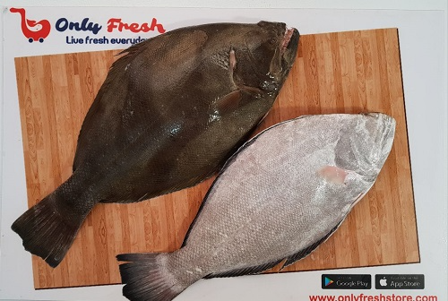 HALIBUT /AYIRAM PALLI 1-1.5 KG SIZE FISH