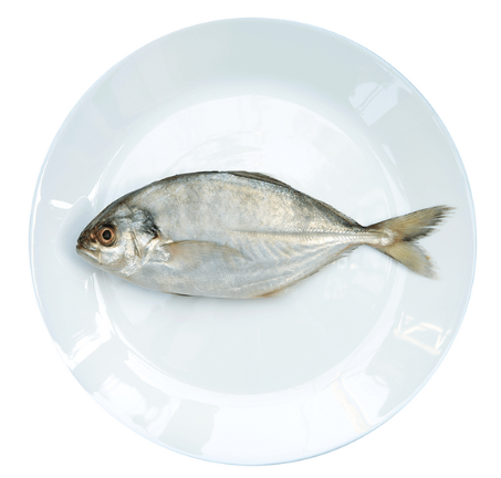 JESH/VATTA 3.5 KG SIZE FISH