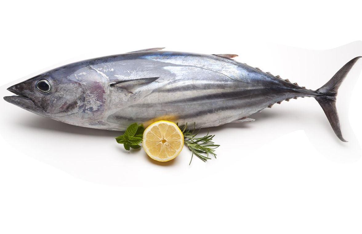 Only Fresh Products
