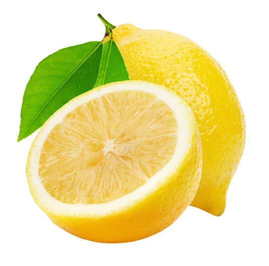 Only Fresh Products