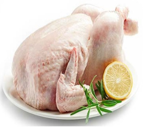 Only Fresh Products