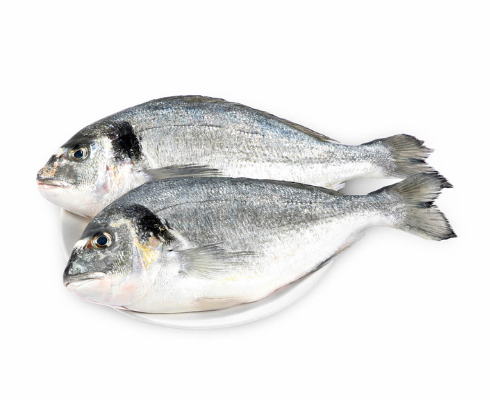 Only Fresh Products
