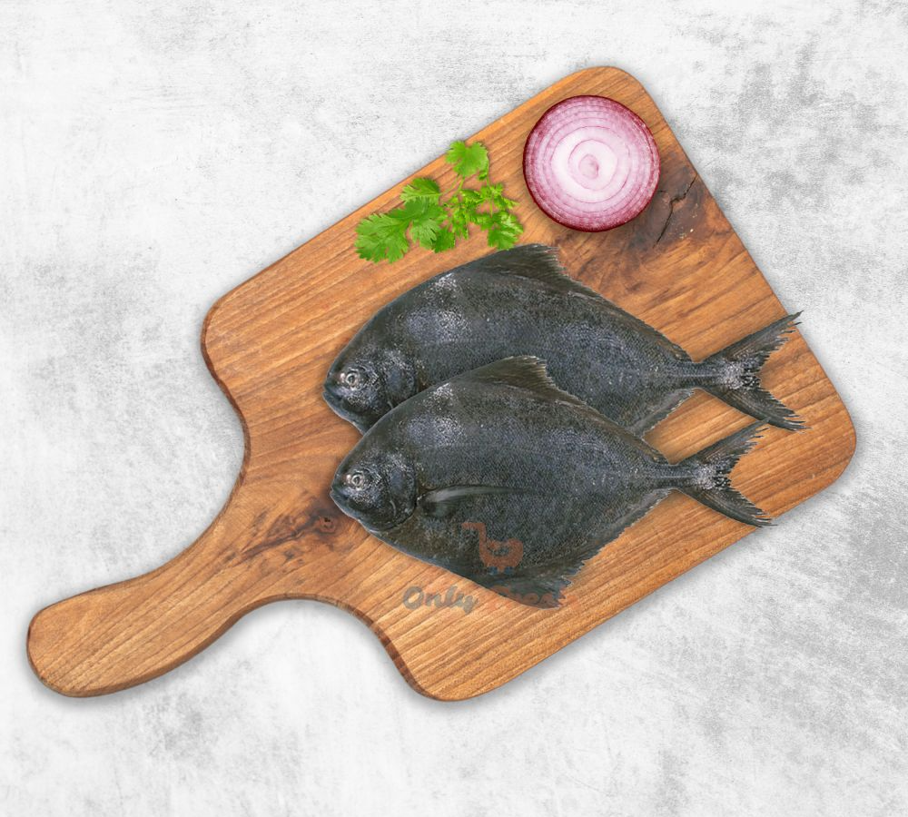 BLACK POMFRET/AVOLI FISH SIZE 500GM -1KG FISH SIZE