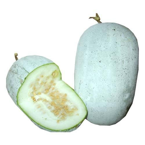 ASH GOURD  (Winter Melon)