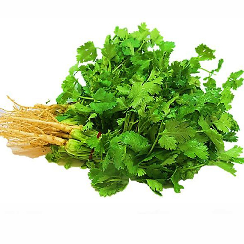 CORIANDER LEAVES/MALLI ILA