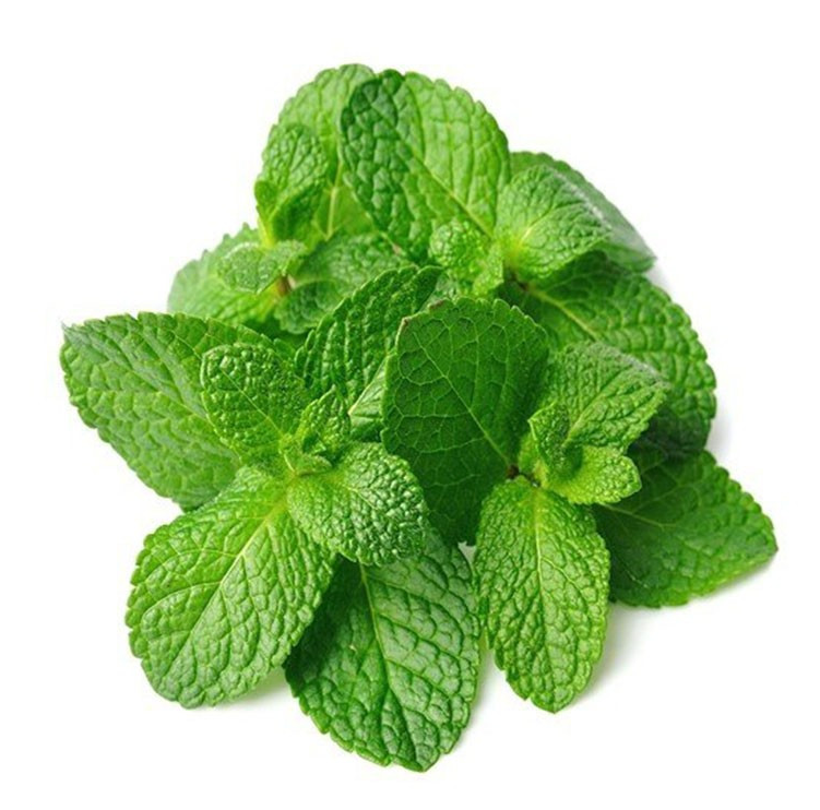 MINT LEAVES