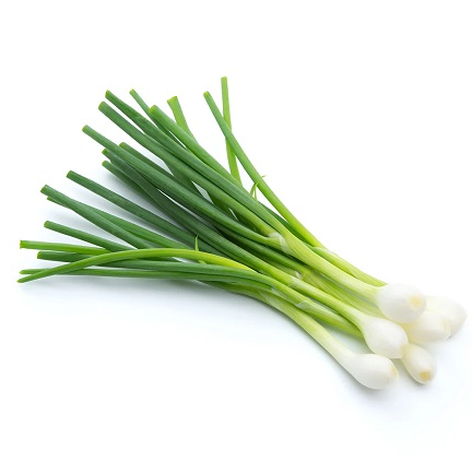 SPRING ONION