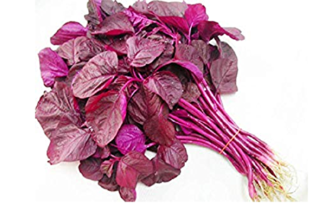 SPINACH RED/AMARANTHUS RED/RED CHEERA